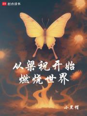 从梁祝开始燃烧世界章节列表