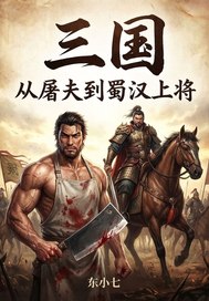 三国：从屠夫到蜀汉上将章节列表