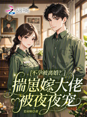 不孕被离婚？揣崽嫁大佬被夜夜宠章节列表