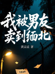 我被男友卖到缅北章节列表