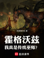 霍格沃兹：我真是传统巫师？章节列表